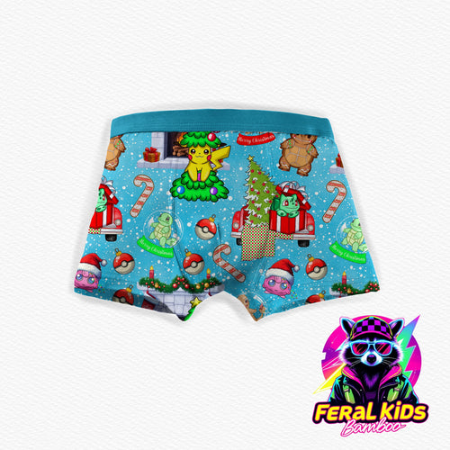 4pk boys Christmas variety boxers-preorder